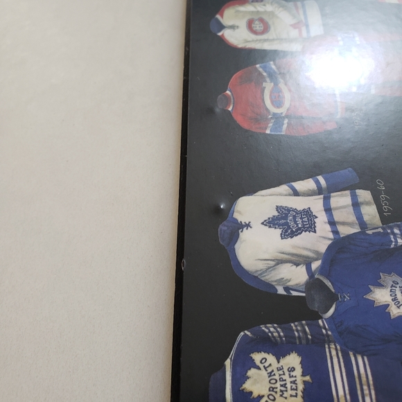 NHL the original six hockey teams and arenas plaques - Picture 3 of 4
